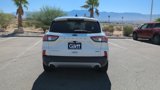Used 2020 Ford Escape Titanium w/ Titanium Premium Package 2.0 image 5
