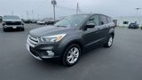 Used 2019 Ford Escape SE image 4