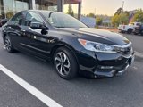 Used 2017 Honda Accord EX-L image 3