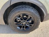 Used 2024 Kia Sportage X-Pro image 5