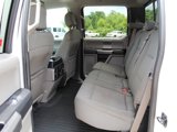 Used 2016 Ford F150 XLT w/ Equipment Group 302A Luxury image 5