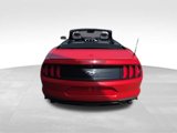 Certified 2022 Ford Mustang Premium image 6