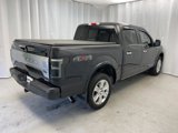 Certified 2020 Ford F150 Platinum w/ Equipment Group 701A Luxury image 2