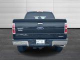 Used 2014 Ford F150 XLT w/ XLT Chrome Package image 5