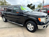 Used 2013 Ford F150 XLT w/ XLT Convenience Pkg image 5