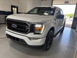 Used 2022 Ford F150 XLT w/ Equipment Group 302A High image 2