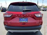 Used 2022 Ford Escape SEL w/ Technology Package image 6