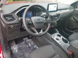 New 2025 Ford Escape Active w/ Cold Weather Package image 4