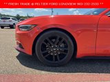 Used 2016 Ford Mustang Premium w/ Pony Package image 4