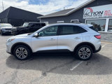 Used 2020 Ford Escape SEL image 2
