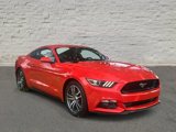 Used 2015 Ford Mustang GT Premium w/ Equipment Group 401A image 5
