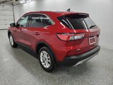Used 2022 Ford Escape SE w/ Convenience Package image 6