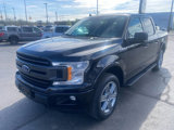 Used 2019 Ford F150 4x4 SuperCrew image 5