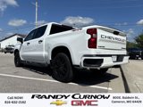 Used 2024 Chevrolet Silverado 1500 Custom w/ Turbomax Blackout Package image 3