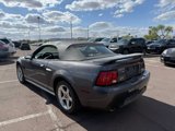 Used 2003 Ford Mustang GT Premium image 5