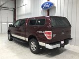 Used 2009 Ford F150 XLT image 4
