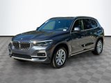 Used 2019 BMW X5 xDrive40i w/ Convenience Package image 3