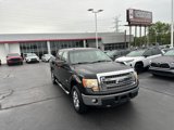 Used 2013 Ford F150 XLT w/ Luxury Equipment Group image 2