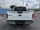 Used 2017 Ford F150 XLT w/ Equipment Group 302A Luxury image 3