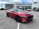 Certified 2021 Ford Mustang GT Premium w/ Black Accent Package image 2