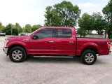 Used 2019 Ford F150 XLT w/ Equipment Group 302A Luxury image 2