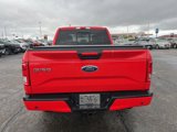 Used 2016 Ford F150 XLT w/ Equipment Group 302A Luxury image 6