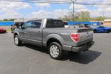 Used 2013 Ford F150 Platinum image 6