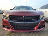 Used 2020 Dodge Charger SXT w/ Blacktop Package image 2