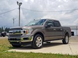 Used 2019 Ford F150 XLT w/ Equipment Group 302A Luxury image 3