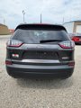 Used 2019 Jeep Cherokee Latitude Plus w/ Cold Weather Group image 4