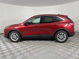 Used 2020 Ford Escape SE image 4