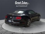 Used 2015 Ford Mustang Premium w/ Equipment Group 201A image 5
