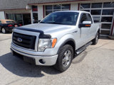 Used 2010 Ford F150 FX4 image 2