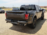 Used 2017 Ford F150 Raptor w/ Equipment Group 802A Luxury image 4
