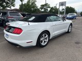 Used 2018 Ford Mustang Convertible image 5