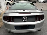 Used 2014 Ford Mustang Premium w/ Equipment Group 202A image 4