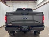 Used 2017 Ford F150 XLT w/ Equipment Group 302A Luxury image 5