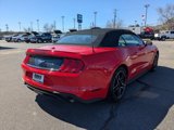Used 2022 Ford Mustang Premium image 4
