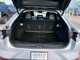 Used 2021 Ford Mustang Mach-E Premium image 5
