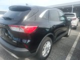 Used 2020 Ford Escape SE image 2