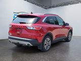 Used 2021 Ford Escape SEL w/ Class II Trailer Tow Package image 2