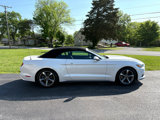 Used 2017 Ford Mustang Convertible w/ Equipment Group 051A image 4
