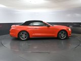 Used 2016 Ford Mustang Premium image 3