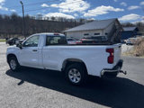 Used 2023 Chevrolet Silverado 1500 W/T w/ WT Fleet Convenience Package image 6