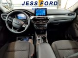 Used 2024 Ford Escape Active image 5