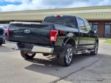 Used 2016 Ford F150 XLT w/ Equipment Group 301A Mid image 5