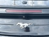 Used 2022 Ford Mustang Premium image 5