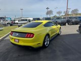 Used 2021 Ford Mustang Premium w/ Equipment Group 201A image 5