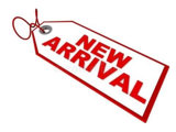 Used 2013 FIAT 500 Lounge w/ Luxury Leather Pkg image 4