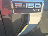 Used 2021 Ford F150 XLT w/ Equipment Group 302A High image 4